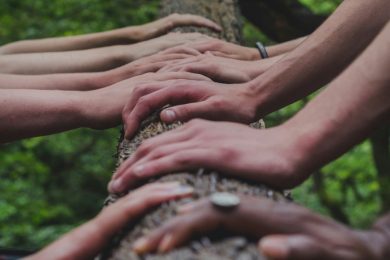 QdS.it lancia “Le Belle Storie”: la nuova sezione dedicata al lato luminoso del territorio