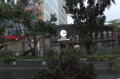 Dopo il devastante Kalmaegi arriva il super tifone Fung-wong: almeno 4 morti – VIDEO