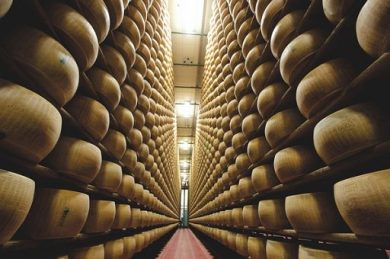 Al via battitura primo lotto forme 2025 Parmigiano Reggiano Dop