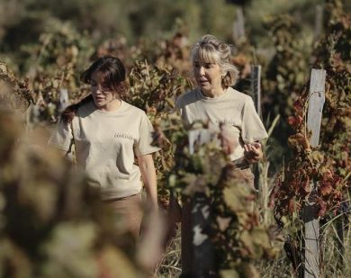 Palmento Costanzo: annata 2025 tra le migliori degli ultimi decenni