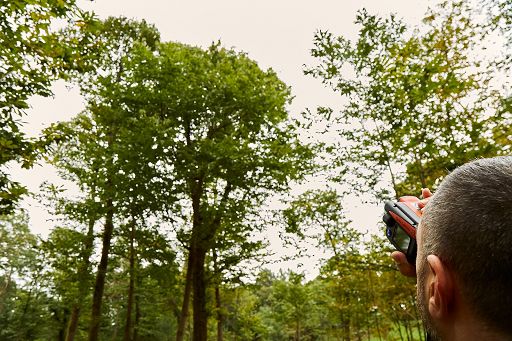 Studio Etifor: cresce nelle imprese l’attenzione alla biodiversità