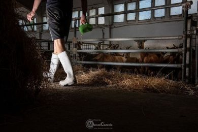 Nel 2026 torna progetto Rob-In del Consorzio Roccaverano Dop