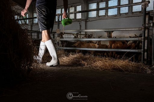 Nel 2026 torna progetto Rob-In del Consorzio Roccaverano Dop Nel 2026 torna progetto Rob-In del Consorzio Roccaverano Dop