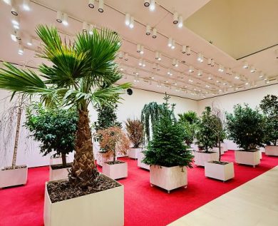 ”Arti della Terra”, una mostra che cambia le carte in tavola