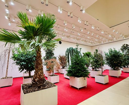 ”Arti della Terra”, una mostra che cambia le carte in tavola