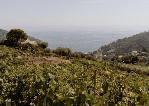 Ca’ du Ferrà chiude il 2025 con collaborazione con Cecilia Rabassi