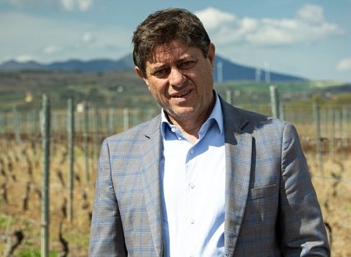 In primavera 2026 a Venosa “Gusti nobili del vulcano” con l’Aglianico