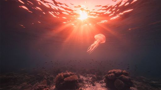 Ambiente, Mediterraneo: 2024 anno più caldo degli ultimi 40 anni