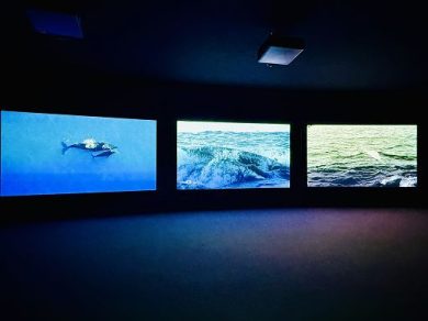 Il mito di Moby Dick in una mostra enciclopedica e inafferrabile