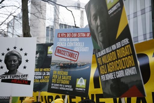 Prandini: protestiamo affinchè agricoltura sia una opportunità