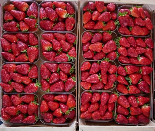 Macfrut 2026 punta su piccoli frutti e rinnova la Berry Area