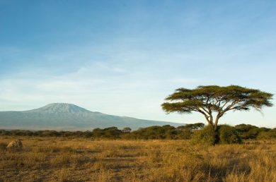 Alpitour World punta sul Kilimanjaro: volo Neos e nuovi itinerari