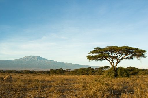Alpitour World punta sul Kilimanjaro: volo Neos e nuovi itinerari