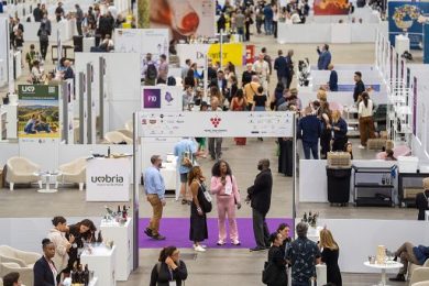 United Experience e BolognaFiere lanciano piattaforma sul vino italiano