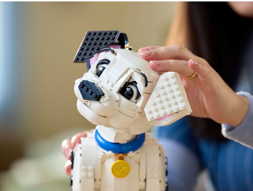 Caccia agli ultimi regali di Natale tra accessori, giochi e libri Caccia agli ultimi regali di Natale tra accessori, giochi e libri