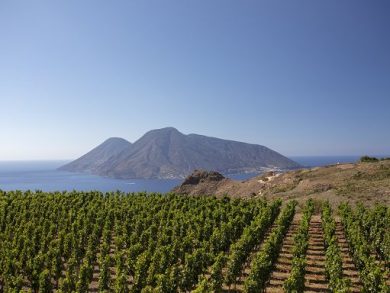 A Lipari debutta la Malvasia secca “Eúxenos” di Tenuta di Castellaro