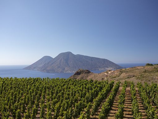 A Lipari debutta la Malvasia secca “Eúxenos” di Tenuta di Castellaro