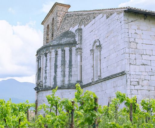 Vino, Tenuta Secolo IX spumantizza il Moscatello casauriense