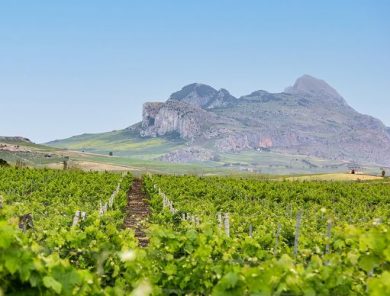 Principe di Corleone: dal 1892 una storia del vino siciliano