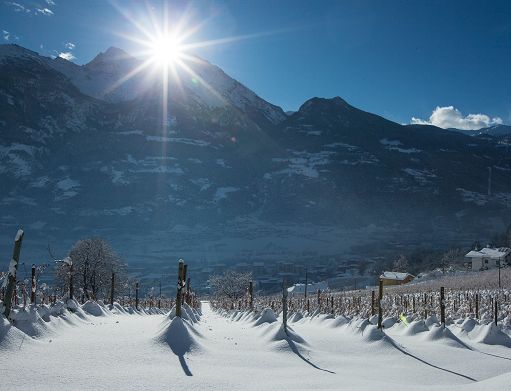 Grosjean Vins e Pila Aosta Valley avviano nuova collaborazione