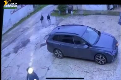 VIDEO | Tre rottweiler attaccano undicenne alla fermata dello scuolabus: finanziare la salva