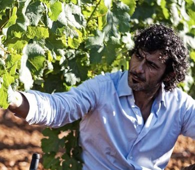 Aldo Viola e la libertà del fare vino come dialogo tra natura e vignaiolo