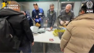 Maxi blitz a Malpensa: sequestrati oltre 18 mila medicinali illegali
