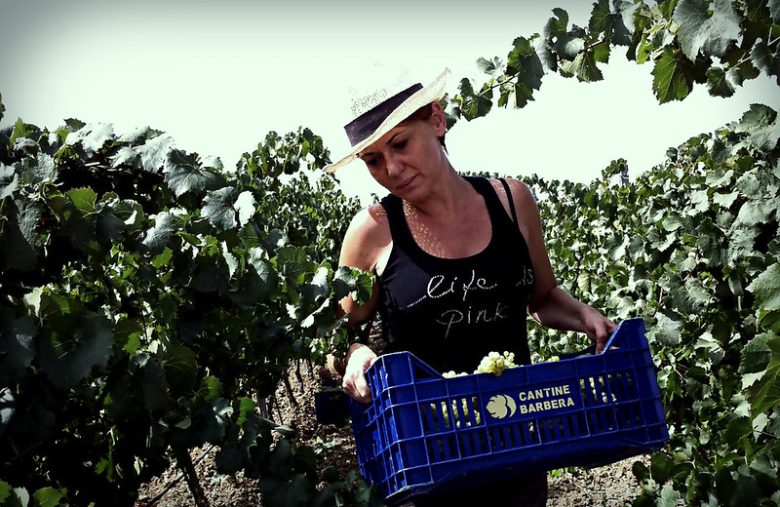 Marilena Barbera, quando il vino è un ritorno alle proprie radici