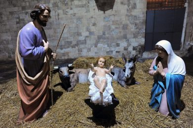 Le festività tra speranza, tradizioni e… amici animali