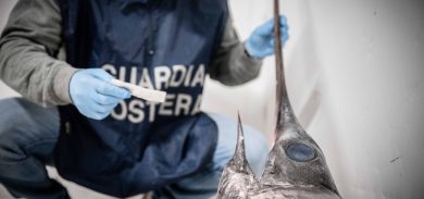 Maxi blitz a Natale della Guardia Costiera: sequestrate 5 tonnellate di pesce scaduto