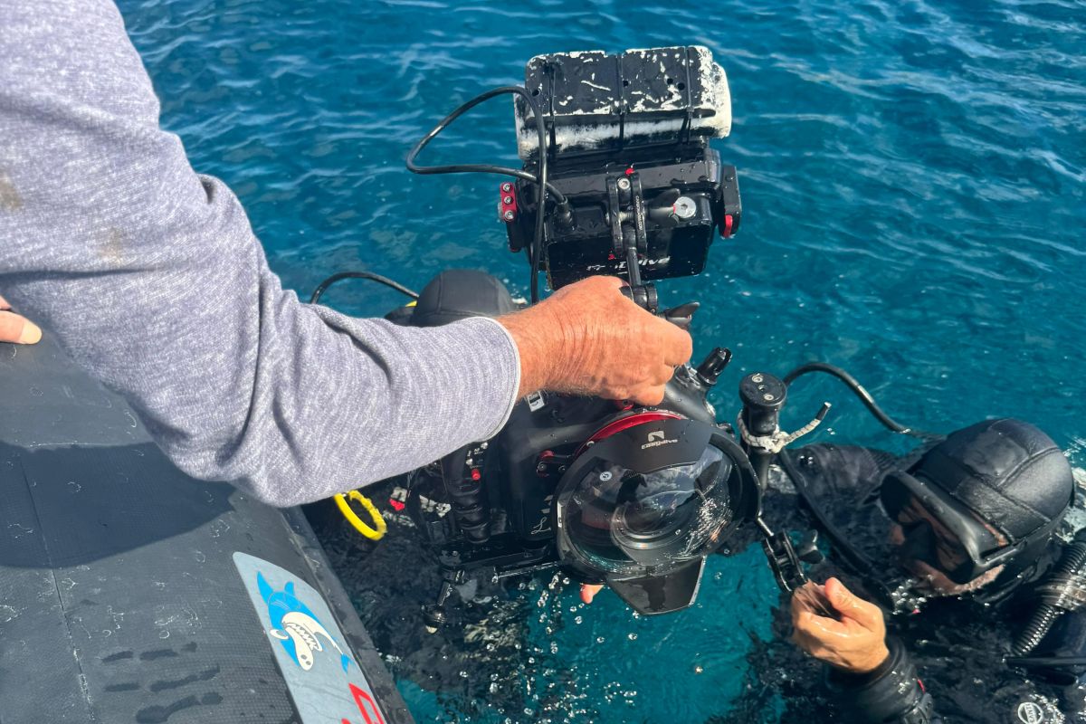 FOTO e VIDEO – Il fuoco di Stromboli nell’imminente terzo capitolo di Avatar. Le riprese in Sicilia raccontate al QdS FOTO e VIDEO – Il fuoco di Stromboli nell’imminente terzo capitolo di Avatar. Le riprese in Sicilia raccontate al QdS