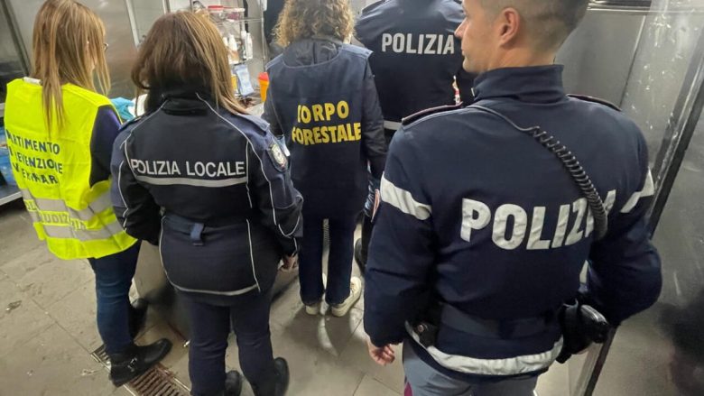 VIDEO | Scarafaggi e condizioni igienico-sanitarie da horror in due bar di Catania