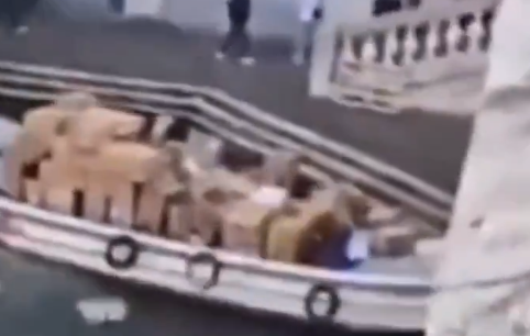 VIDEO | Ruba un barcone e si schianta contro un Ponte a Venezia