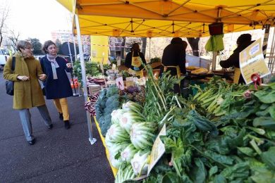 Commercio, Eurostat: a novembre vendite al dettaglio eurozona +0,2%