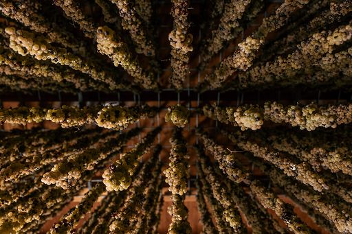 Vino, Gabriella Dorio nuova “Ambasciatrice del Torcolato nel mondo”