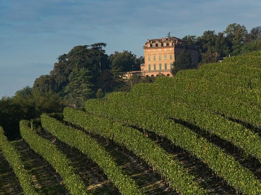 Dopo 30 anni Marchesi Alfieri torna al bianco con il Timorasso 2023