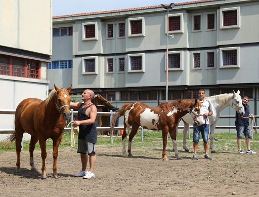 Compie 10 anni progetto Fieracavalli per reinserimento dei detenuti