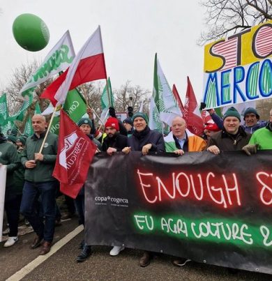 Confagri: Mercosur, Europarlamento ha accolto nostri dubbi