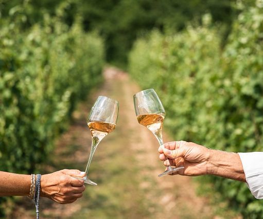 ”Trentodoc Rosé Monsieur Martis 2020″ si degusta l’11 febbraio a Parigi