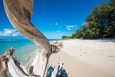 Alle Seychelles turismo record nel 2025, arrivi +13%
