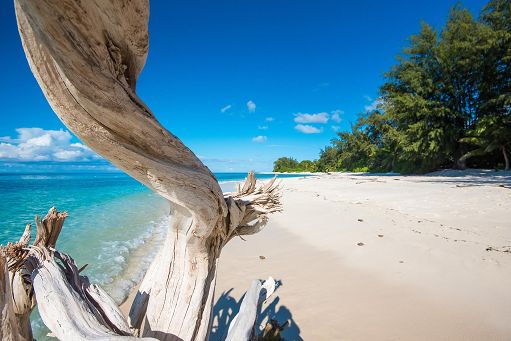 Alle Seychelles turismo record nel 2025, arrivi +13%