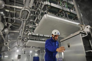 Lavoro, Istat: a dicembre -20mila occupati, su anno +62mila