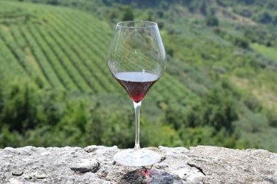 Consorzio Valpolicella: imbottigliato cala ma tiene, Amarone -2,4%