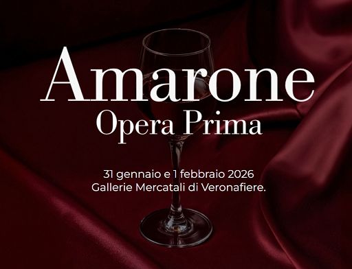 Consorzio Valpolicella: Amarone 2021 “equilibrato, tipico ed elegante”