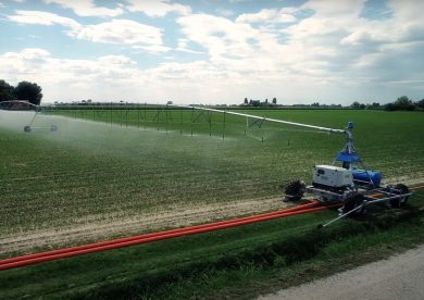 Produzione agricola, Sicilia quarta tra regioni italiane