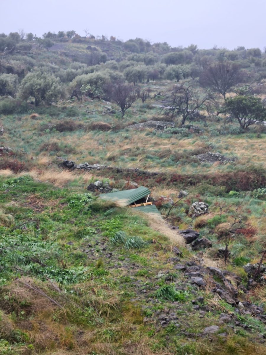 VIDEO | Il maltempo mette in ginocchio le aziende del Catanese, la testimonianza di Agroittica Siciliana: “Danni gravosi”