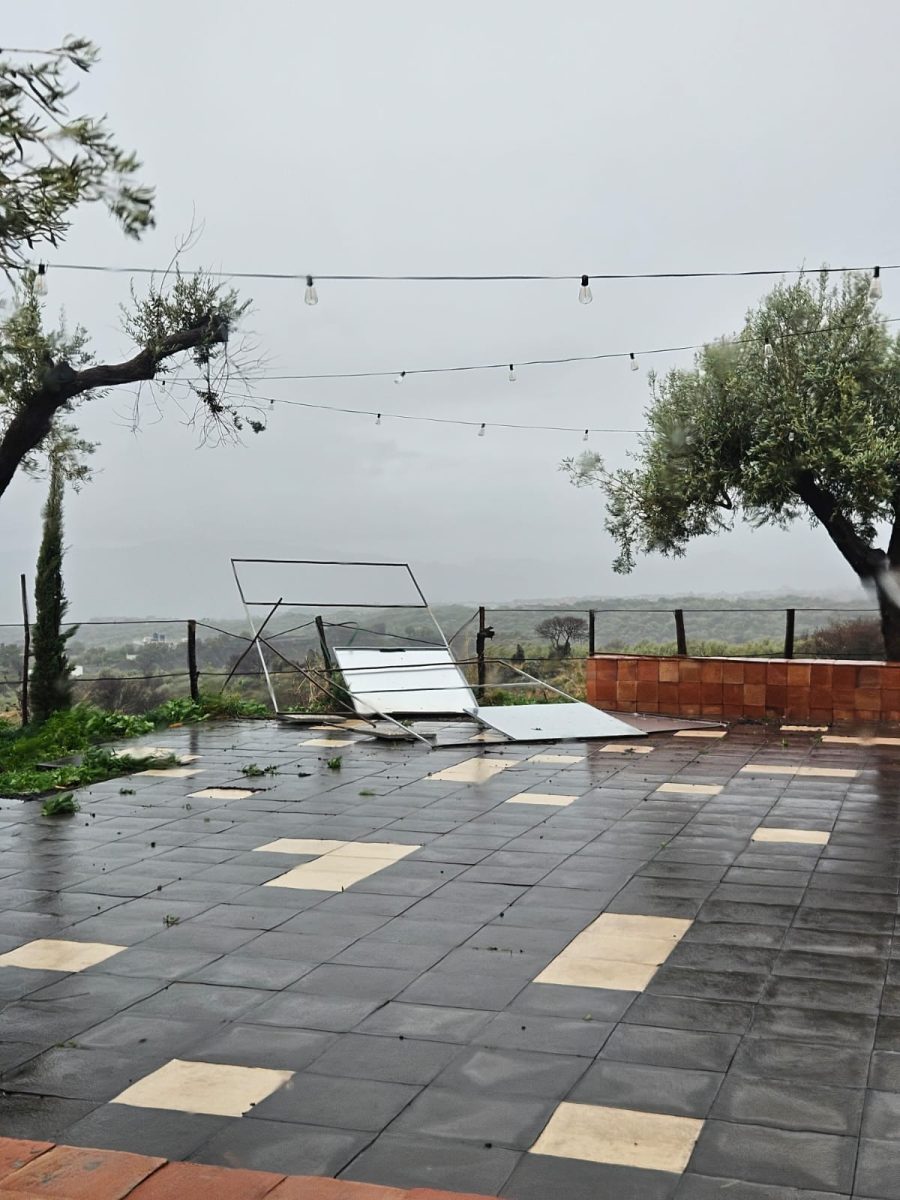 VIDEO | Il maltempo mette in ginocchio le aziende del Catanese, la testimonianza di Agroittica Siciliana: “Danni gravosi”