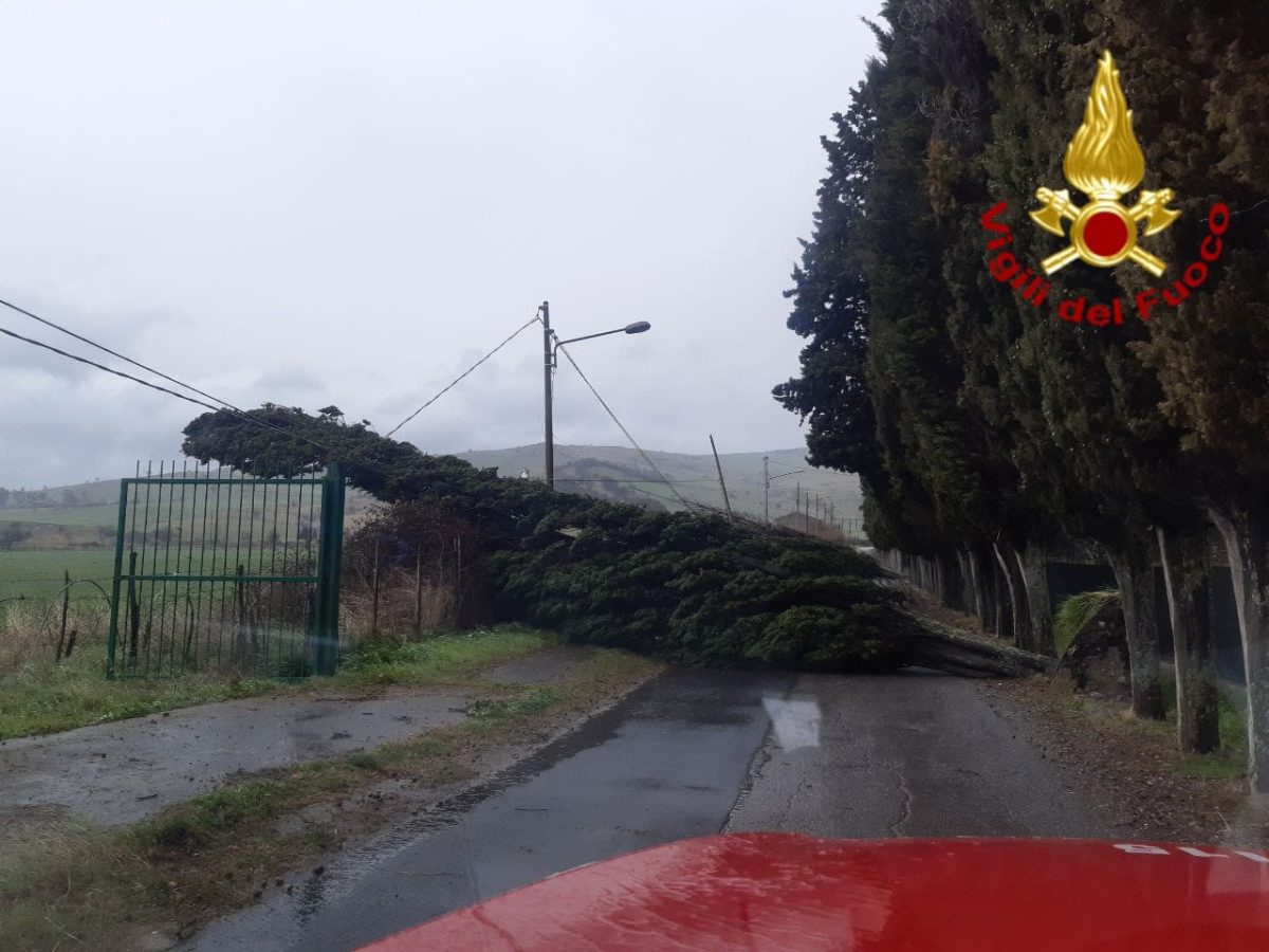 Maltempo in Sicilia: ancora disagi per alberi caduti, forte vento e mareggiate | FOTO
