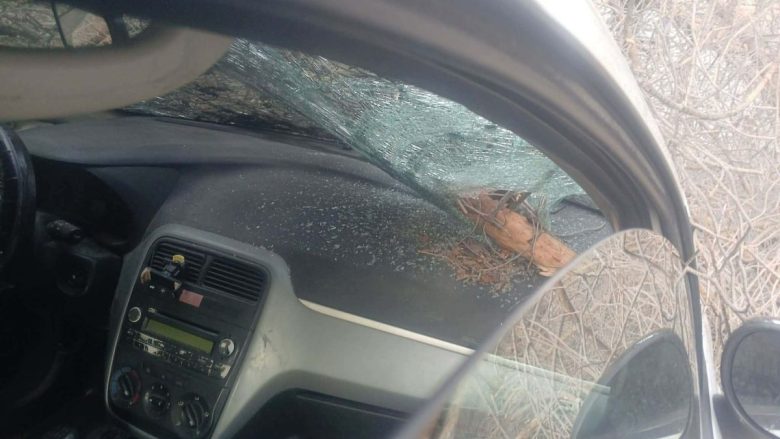 Tragedia sfiorata a Palermo, tre alberi cadono su auto: quattro ragazzi in ospedale