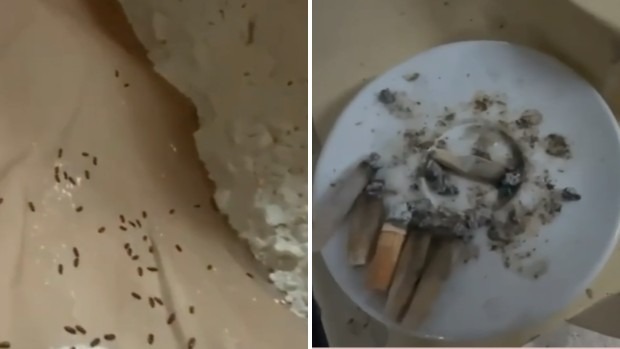 VIDEO | Bar da incubo a Catania: blatte, insetti e cibo putrefatto